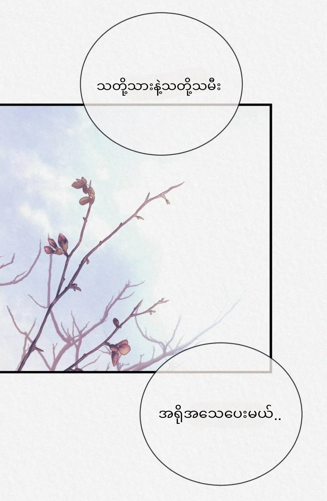 68881530 1080 1650 99740