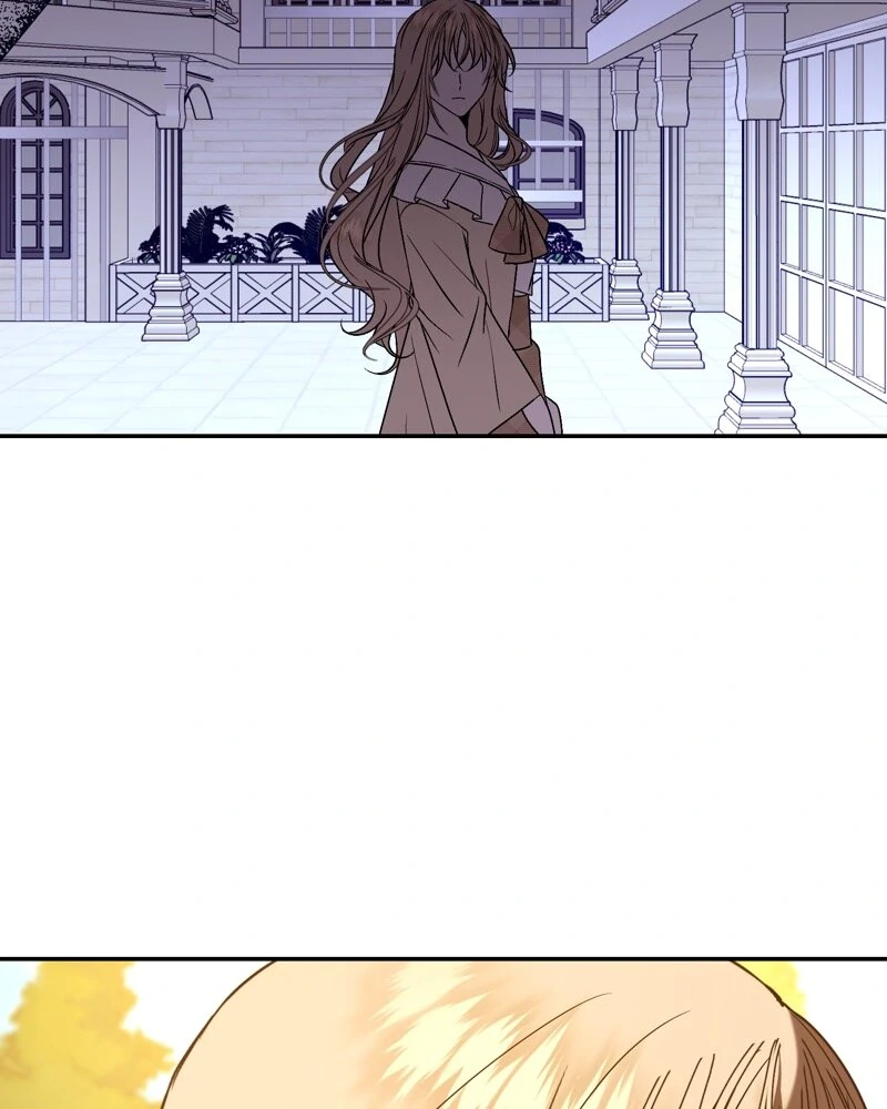 68814012 800 1000 71754